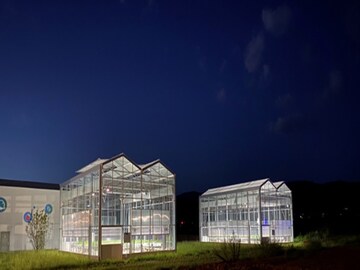 Pinduoduo's smart agriculture competition grows 175% more strawberries using AI