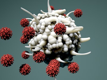 Beyond antibodies: A new test may better judge immunity to coronavirus
