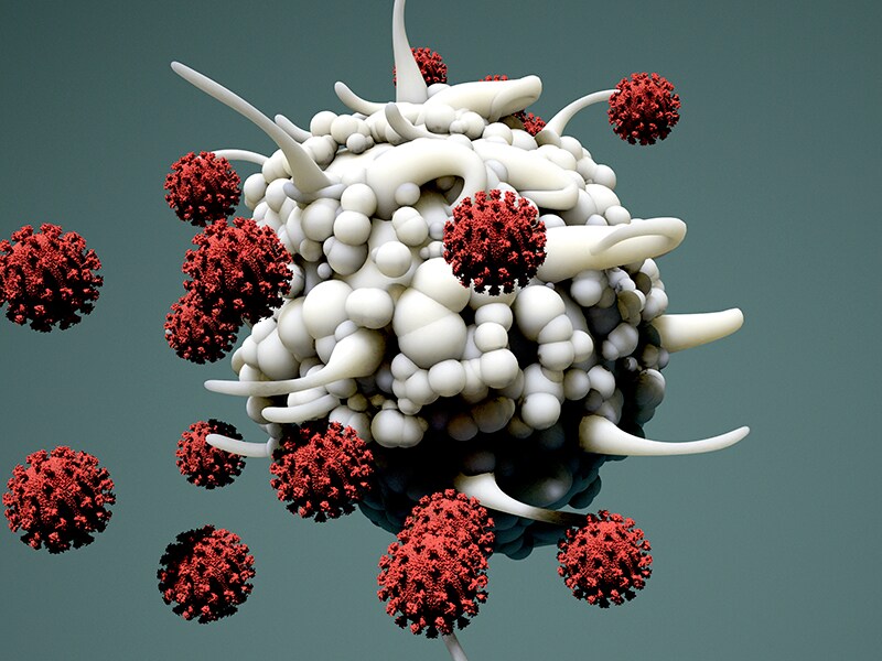 Beyond antibodies: A new test may better judge immunity to coronavirus