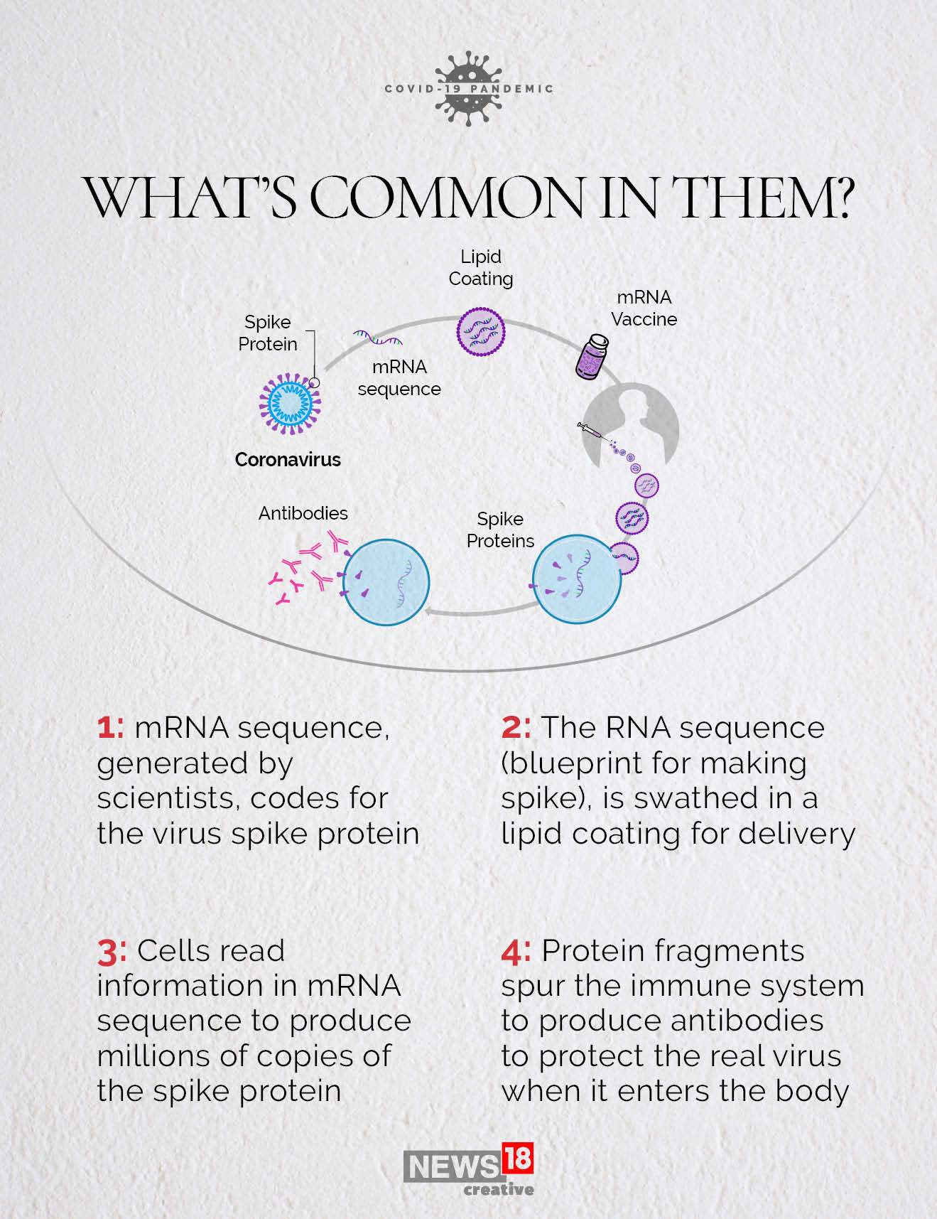 Pfizer vs Moderna: What's different about the vaccines?