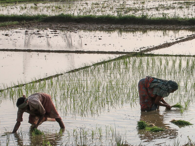 Photo of the day: Seeds of future