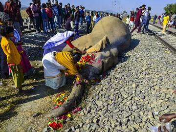 Photo Of The Day: Rest in peace