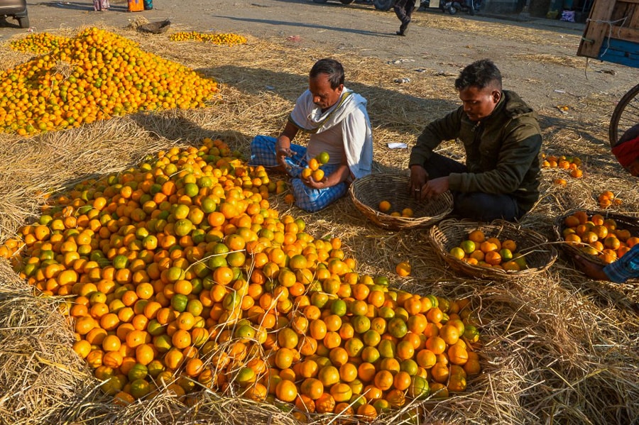 Photo Of The Day: Vitamin C