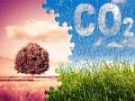 Why the Big Three and corporate engagement could be key to curbing CO2