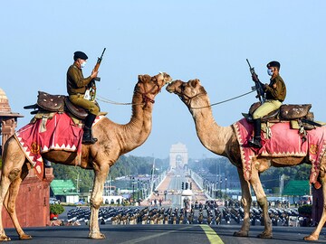 Photo of the Day: Standing guard