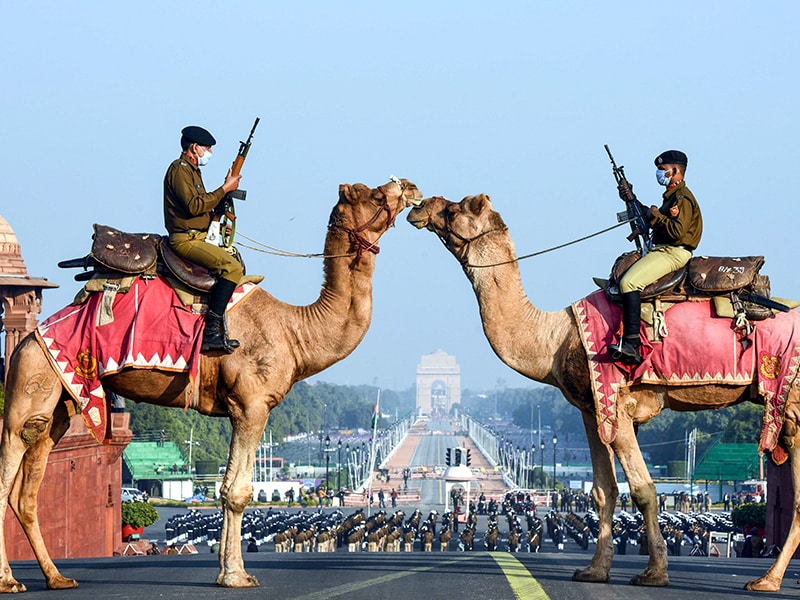 Photo of the Day: Standing guard