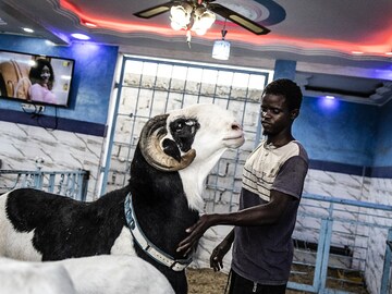 Photo of the day: Preparing for Eid