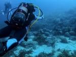 Greece's first underwater museum opens ancient world to dive tourists