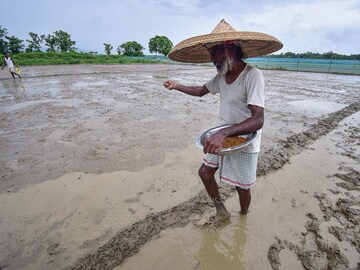 Photo of the day: Sowing the future