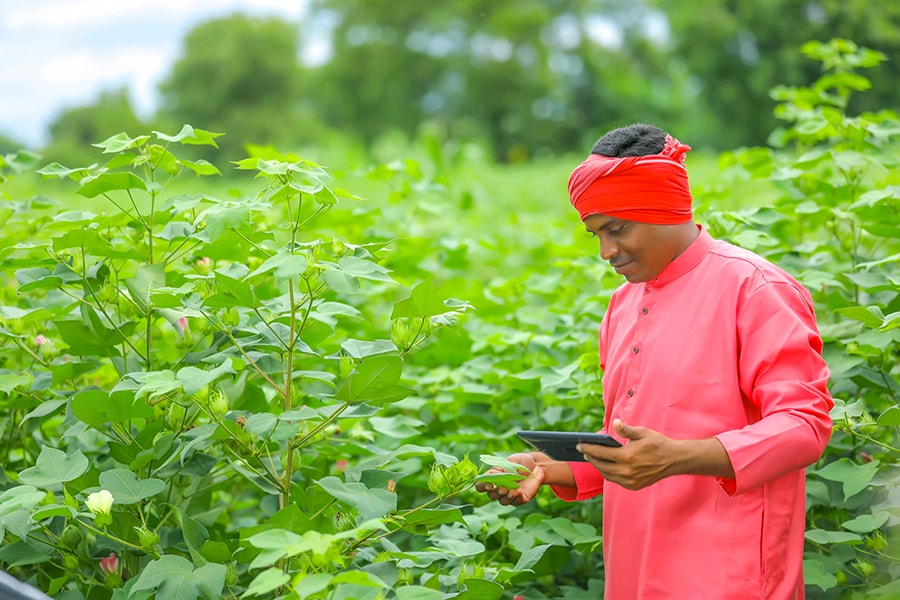 farmer