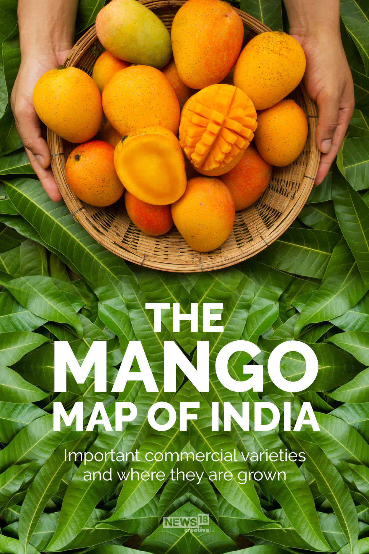 The mango map of India