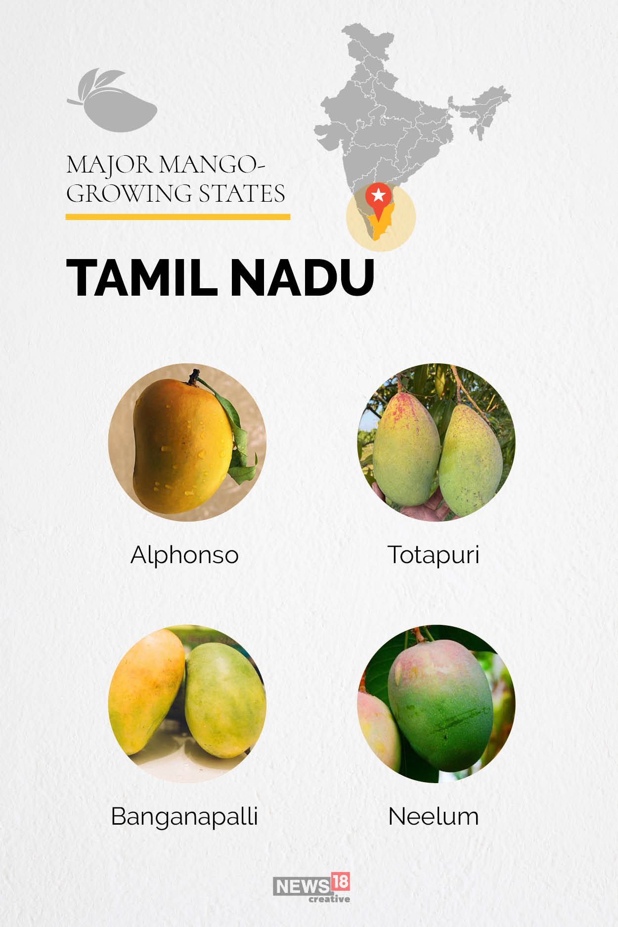 The mango map of India