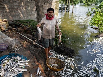 Photo of the day: Cyclone Yaas, the aftermath