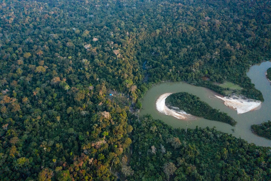 How the global appetite for leather seats in luxury SUVs is worsening deforestation in the Amazon