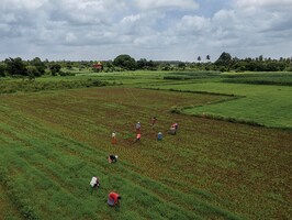 monsoon deficit