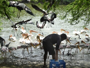 Photo of the day: Lunch time