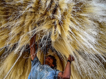 Photo Of The Day: Ready for feast