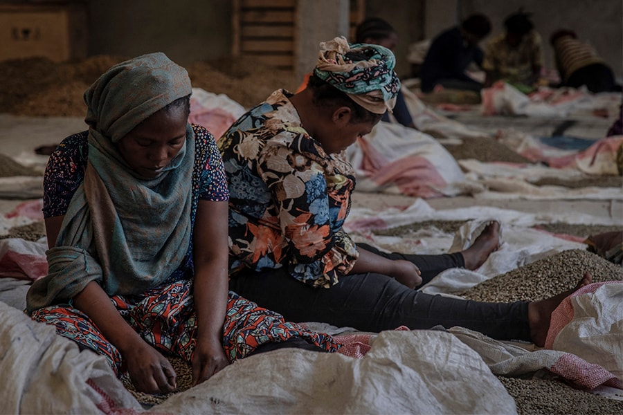 Women sort coffee at the Muungano cooperative to remove waste and dirt in the city of Goma, Democratic Republic of Congo.
Image: Guerchom NDEBO / AFP 