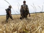 Mines, fires, rockets: The ravages of war bedevil Ukraine's farmers