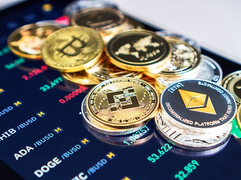 shima capital sm