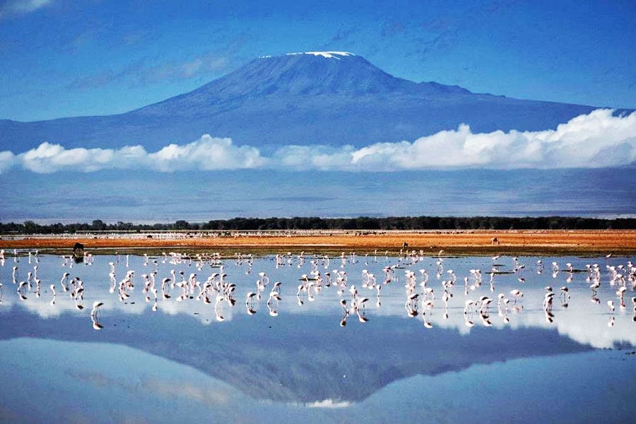 Tanzania has installed high-speed internet services on the slopes of Mount Kilimanjaro, allowing anyone with a smartphone to tweet, Instagram or WhatsApp their ascent of Africa's highest mountain.
Image:Tanya Willmer / AFP 