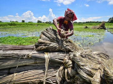 Photo of the day: Preparations