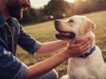 Study shows dogs get teary-eyed when they reunite with owners