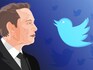 Musk threatens to prosecute Twitter scammers, crypto bot scam goes down significantly