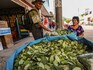 'Coca' pits indigenous Colombians against soft drink giant