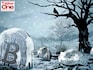 Cryptocurrency: Is there hope beyond a dark winter?