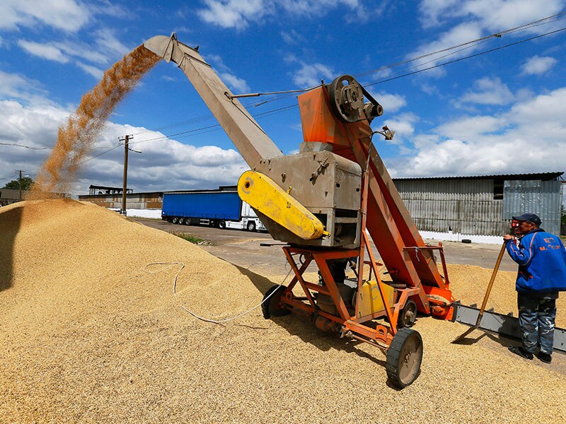 Ukraine prepares grain supplies despite Russia's port attack