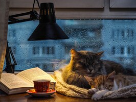 reading sm