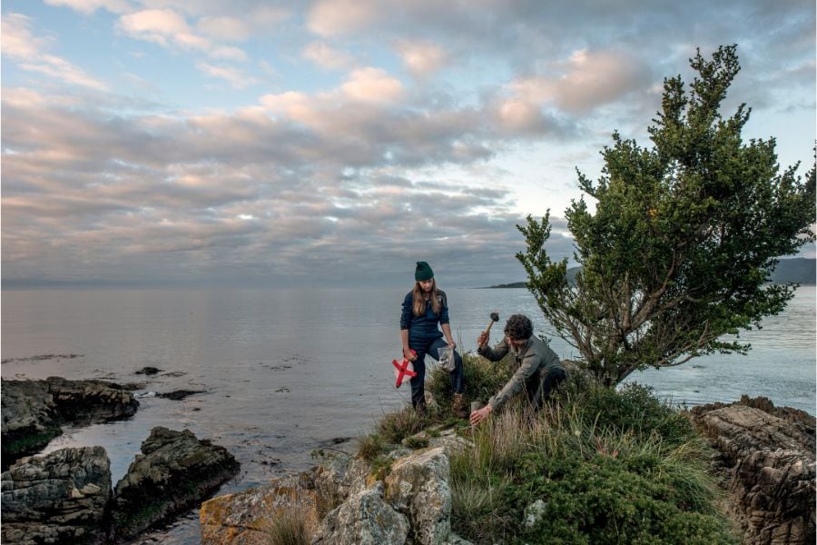 The biologists Toby Kiers, left, and Merlin Sheldrake take soil samples along the coast of Chaihuin, in Chile, on April 15, 2022. Kiers and her team of researchers are probing a vast and poorly understood universe of underground fungi that can be vital, in her view, in the era of climate change. Image: Tomas Munita/The New York Times