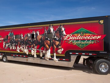 Budweiser partners with Zed Run to enter NFT game domain