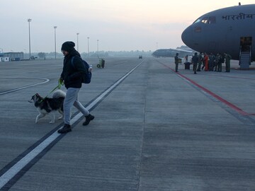 Photo Of The Day: India makes it easier to get your pets from Ukraine