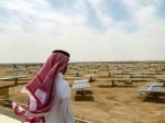 Scientists grow spinach in the desert thanks to these new solar panels