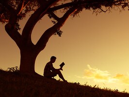 readings
