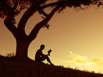 Our top reads of the week