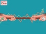 Bull or bear, long-term stock market investors win