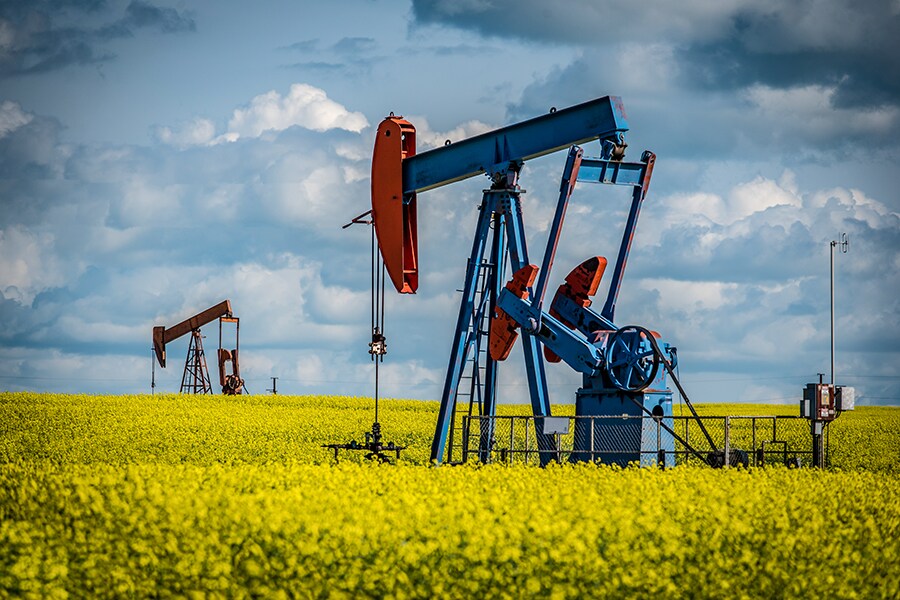 Two pump jacks in a canola field in bloom in Saskatchewan, Canada. (Credit: Shutterstock)