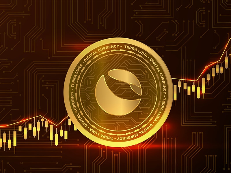 coin dcx 2_sm