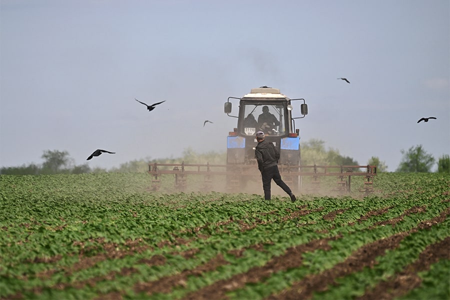 A man drives a tractor on a sunflowers field at a farm in southern Ukraine’s Odessa region on May 22, 2022, on the 88th day of the Russian invasion of Ukraine.​ (Credits: Genya SAVILOV / AFP)