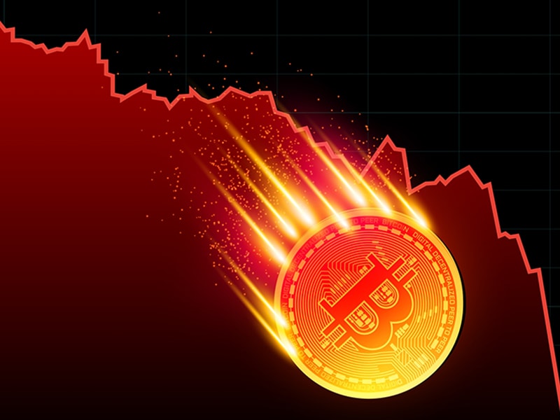coin dcx 1_sm