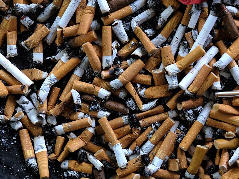 Big tobacco's environmental impact is 'devastating': WHO