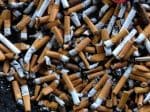 Big tobacco's environmental impact is 'devastating': WHO