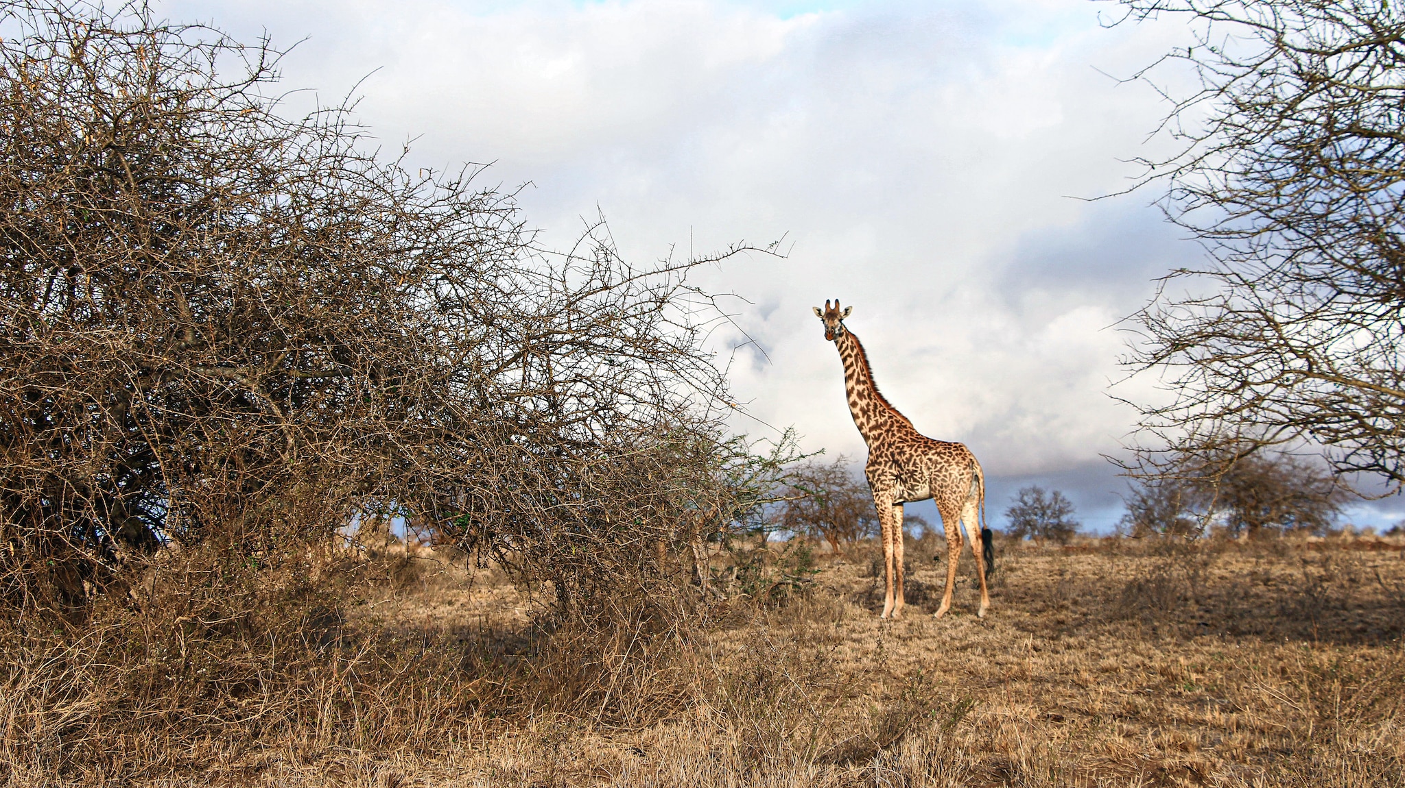 Photo of the day: In search of water