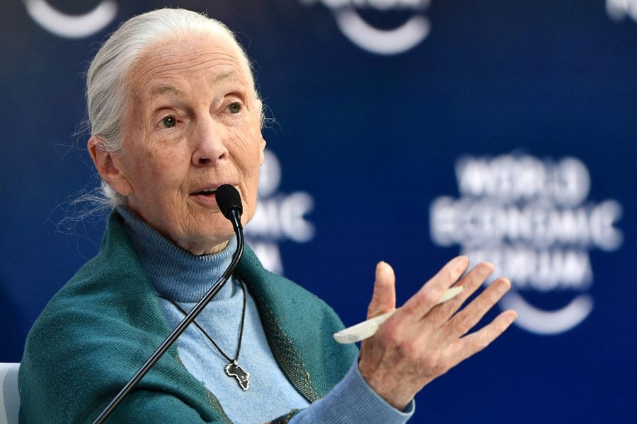 Goodall, a grandee of environmentalism whose activism has spanned decades, said time was rapidly shortening to halt the worst effects of human-caused global warming. Image: Fabrice Coffrini/AFP 

