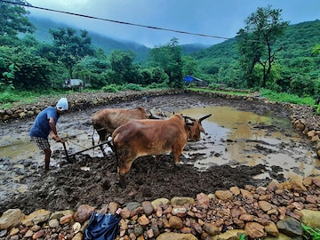 Rain Watch for July 27-August 2: Eastern India still deficient; pulses sowing low