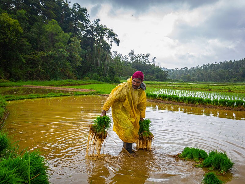 Photo of the day: To the fresh beginning