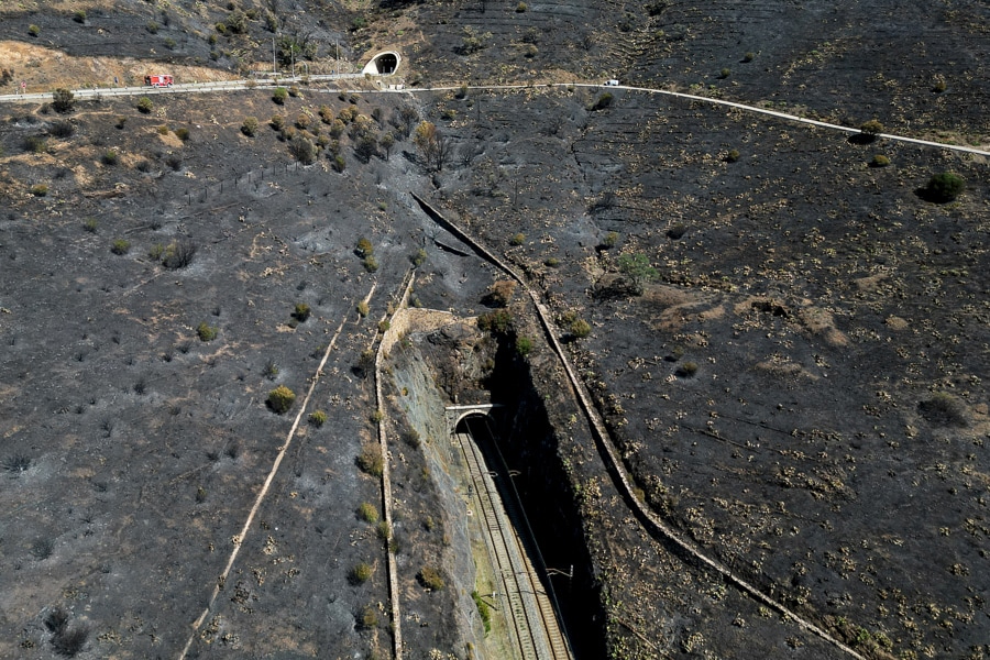 Image: Nacho Doce / Reuters